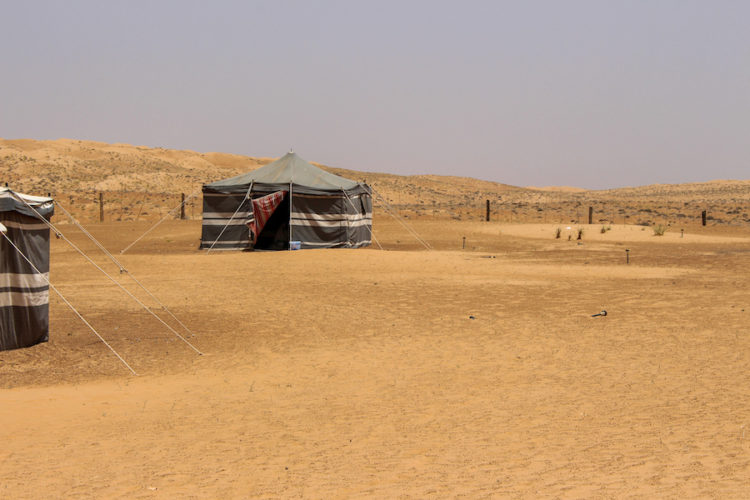 Traditional Bedouin tents at Desert Wonders camp