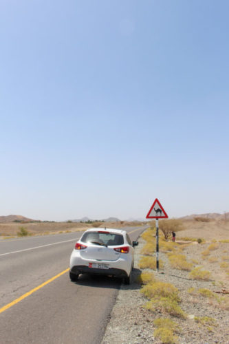 My white rented car stopped on the side of the road in Oman