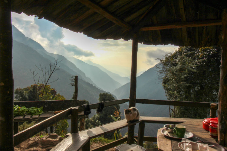 Cat sitting on a bench at a teahouse in Sikkim with a beautiful view of mountains and valleys behind