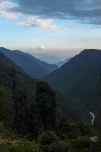Thickly forested valley in Kanchenjunga National Park