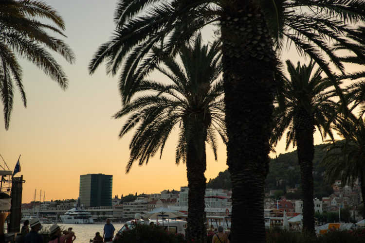 Sunset over Split Harbour with palm trees silhouetted in the foreground