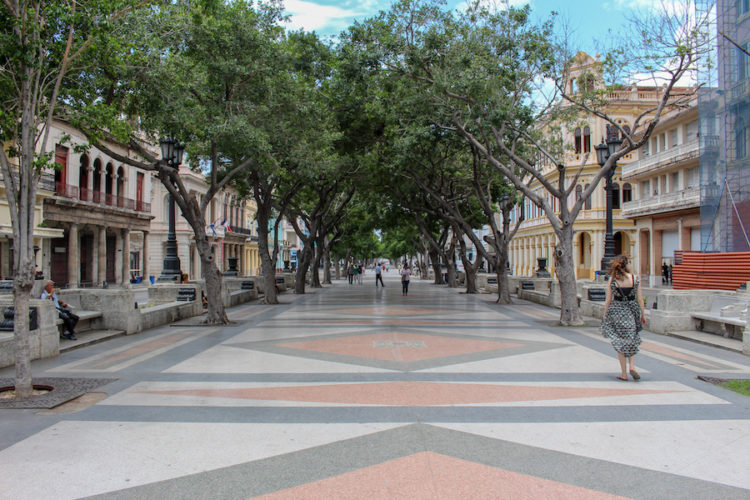 Walking along the tree-lined pedestrian street Paseo del Prado in Havana