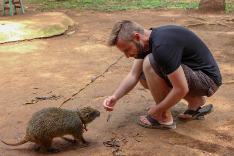 Me-making-friends-with-a-pet-cuban-tree-rat-or-hutia-in-vinales