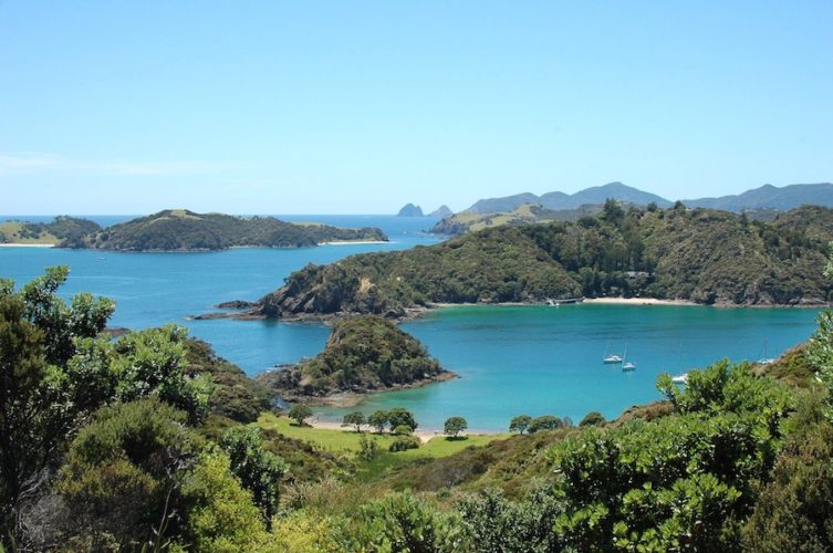 Beautiful sunny day in the Bay of Islands with lush greenery and calm sea
