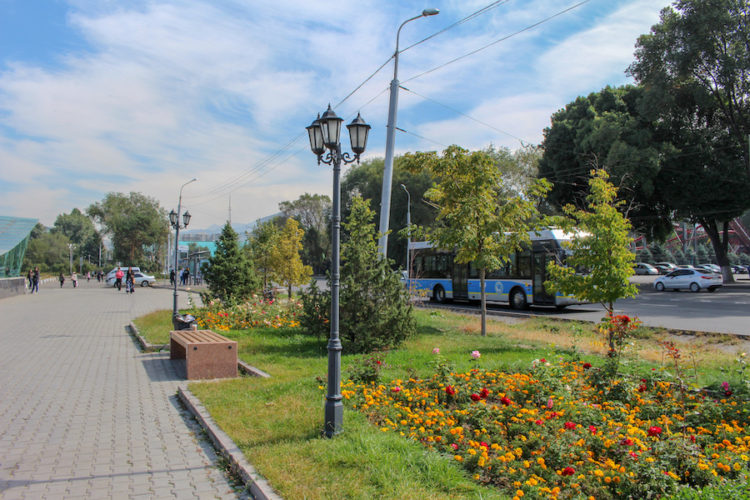 Almaty's-green-streets-and-clean-sidewalks-with-orange-and-red-flowers-arranged-neatly-in-a-flower-bed