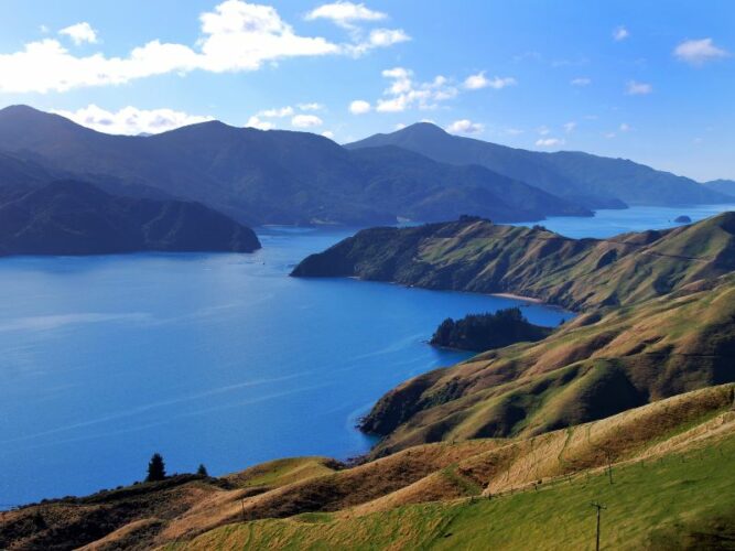 Sweeping view of the Marlborough Sounds with its intricate waterways nestled between sunlit, rolling hills