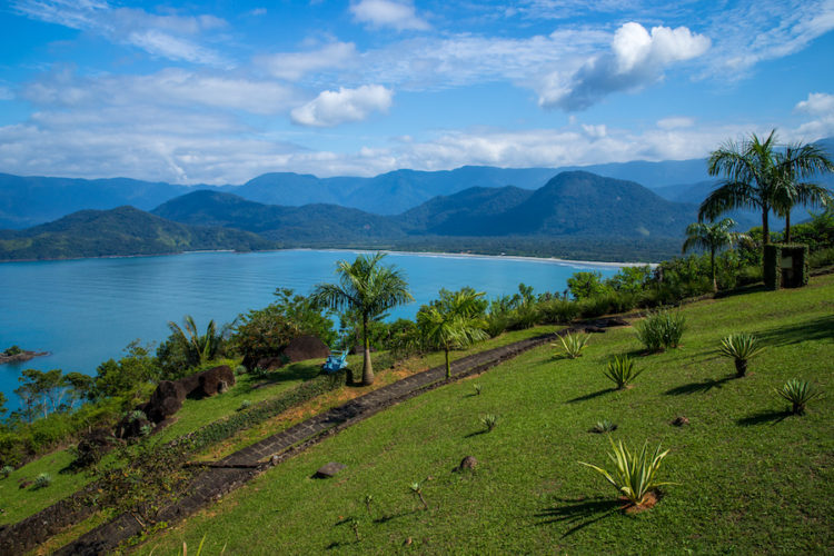 Garden with tropical plants and trees overlooking the beaches and mountains near Ubatuba in Brazil