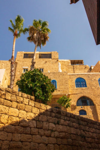 sandstone-buildings-and-palm-trees-in-the-old-town-of-jaffa