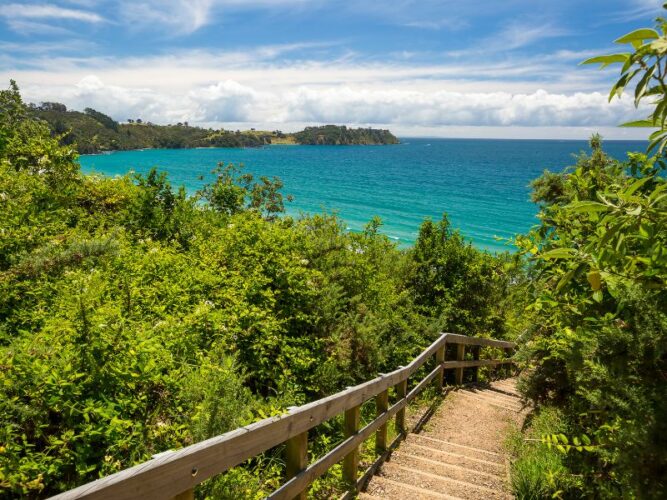 Stairway leading down to a secluded cove on Waiheke Island, framed by lush greenery and overlooking the azure waters of the Hauraki Gulf, showing the island's tranquil and picturesque scenery.