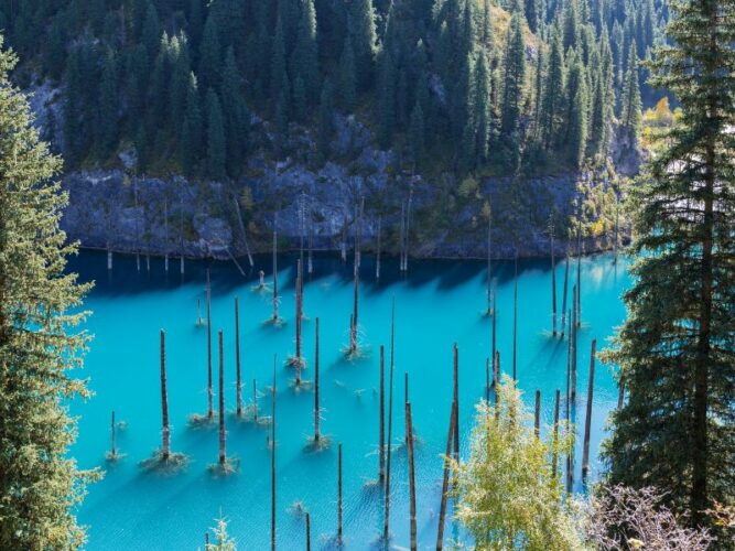Kaindy lake in Kazakhstan with turquoise water and eerie straight tree trunks emerging from the lake which is surrounded by forests and mountains