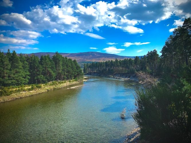 Attractive body of water surrounded by evergreen trees in the cairngorms national park on a fine day