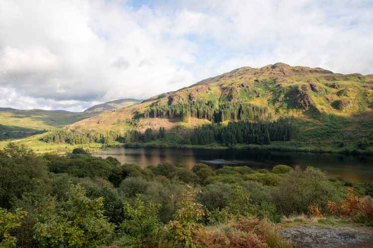 View of loch trool in glen trool surrounded by rugged hills and greenery