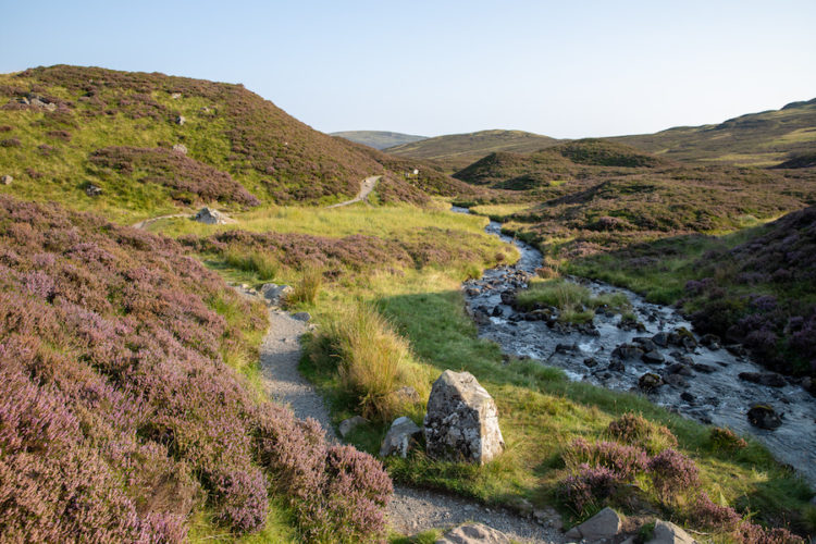 Loch-Skeen-trail-running-to-the-left-of-a-mountain-stream-in-scotland