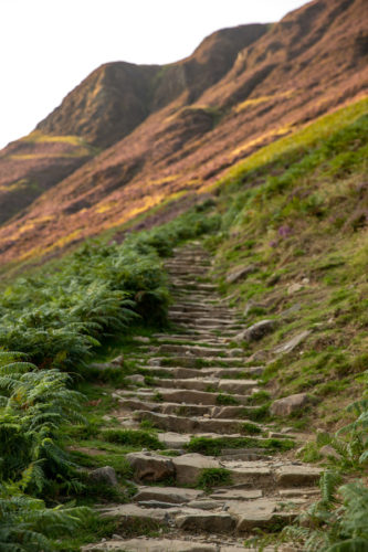 Steps-on-the-Grey-Mares-Tail-hiking-path
