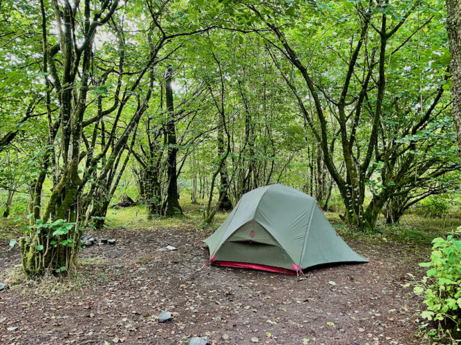 My-tent-pitched-in-a-clearing-surrounded-by-trees-in-Galloway-Forest-Park