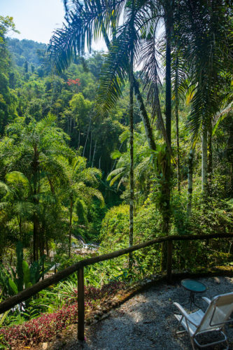 Gite-d'Indaiatiba-terrace-with-chairs-overlooking-forest