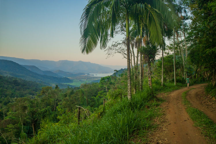 Hiking-in-the-mountains-of-the-Serra-da-Bocaina-National-Park