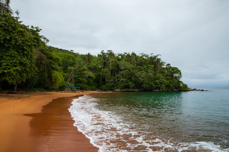 Beautiful-tropical-beach-in-Brazil