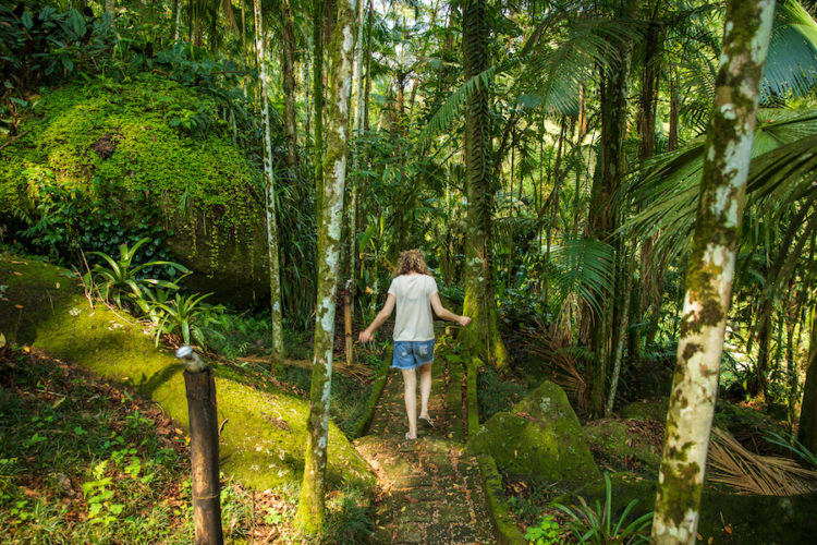 Walking-through-the-jungle-in-Brazil