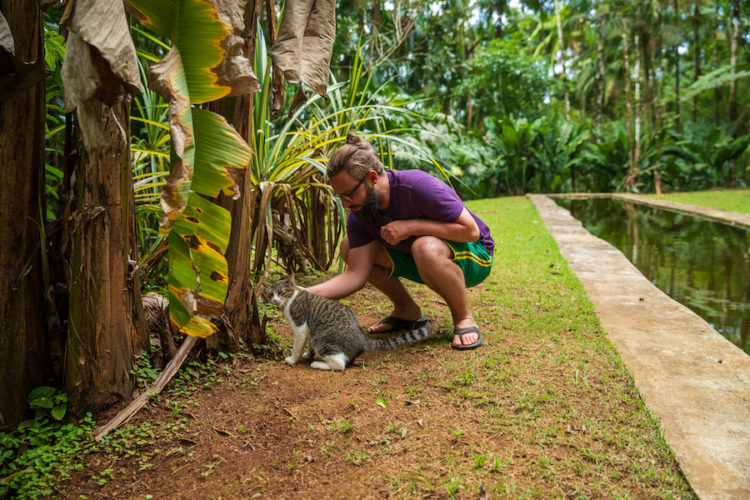 Stroking-a-cat-in-the-brazilian-jungle