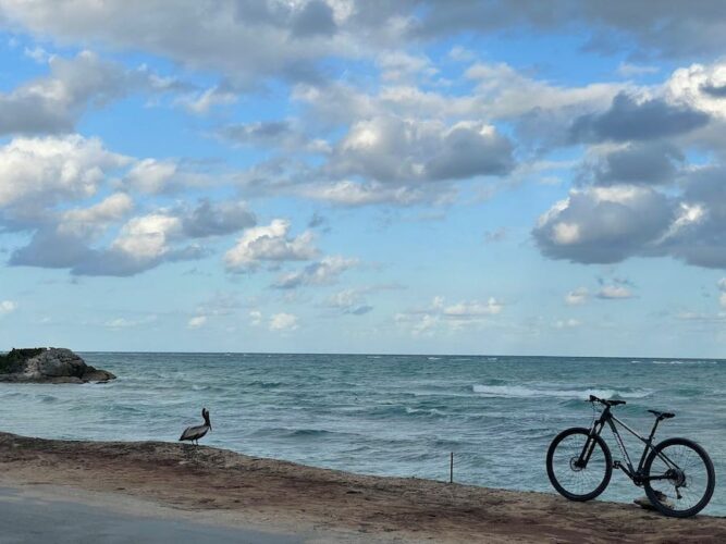 Pelican and a bicycle next to the sea in the Yucatan