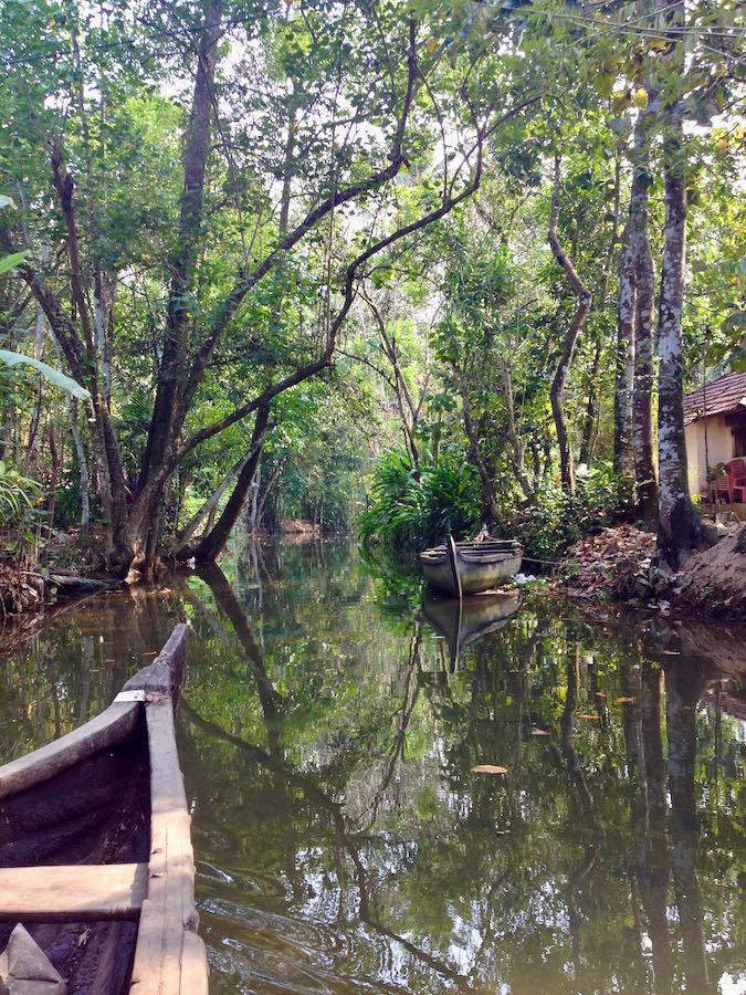exploring-kerala-backwaters-by-boat-in-february