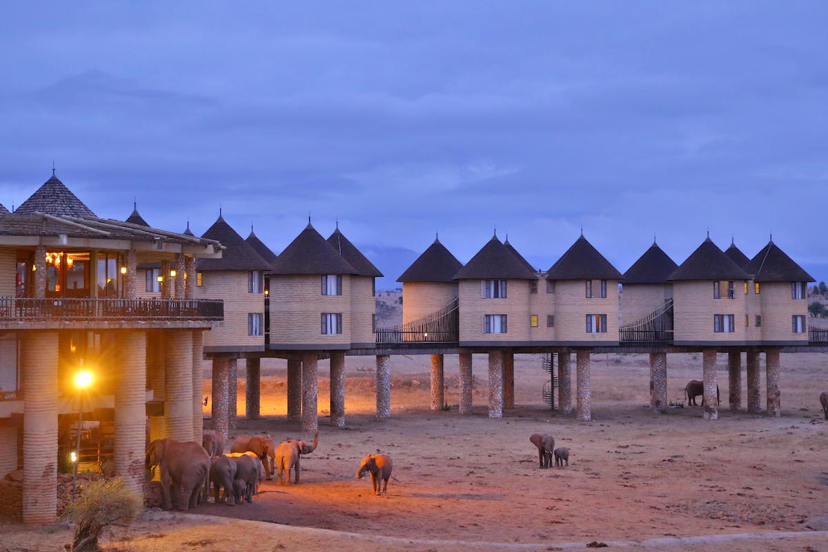 Exterior-view-of-Salt-Lick-Game-Lodge-in-Kenya-with-elephants-next-to-the-buildings