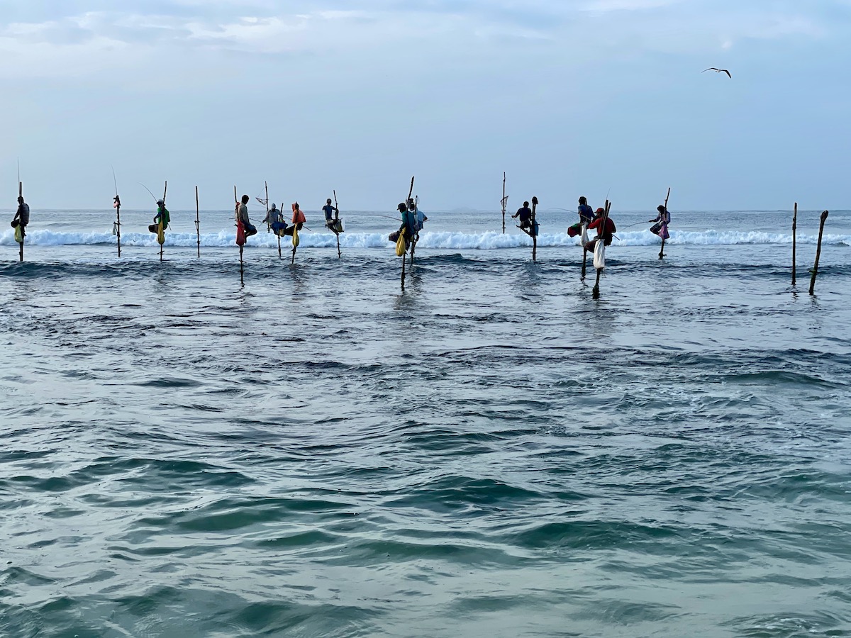 Surfing In Sri Lanka 2024: Catching The Waves Of Paradise (A ...