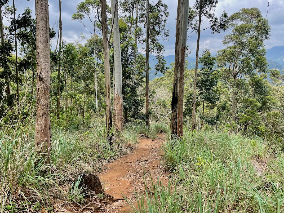 hiking-trail-in-ella-sri-lanka