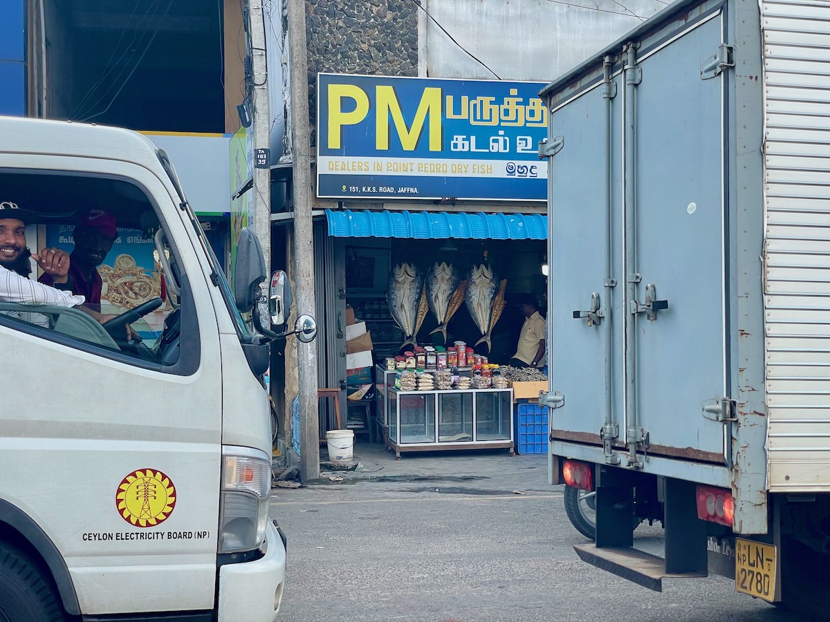 dried-salted-fish-in-jaffna