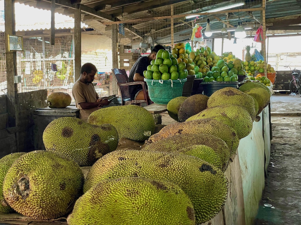jackfruit-in-jaffna-market
