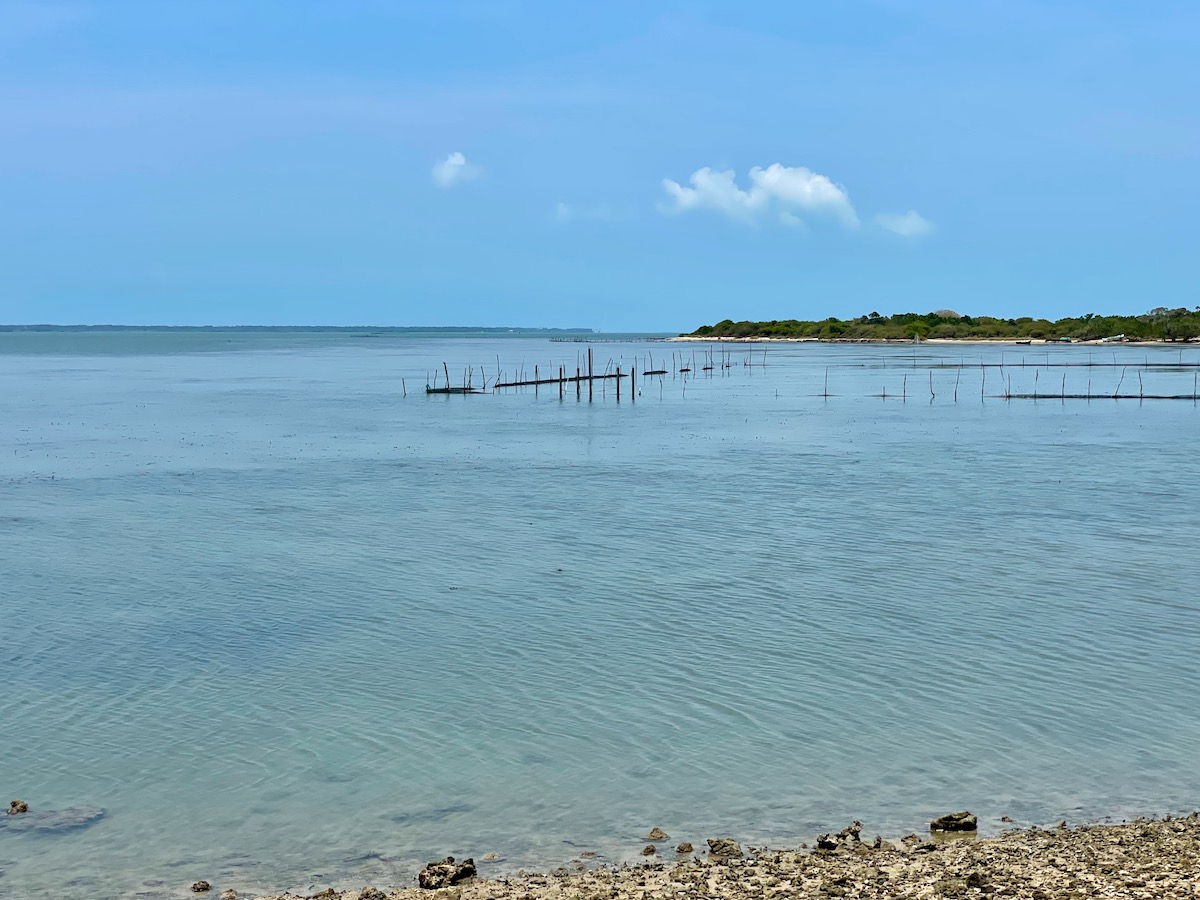 jaffna-lagoon