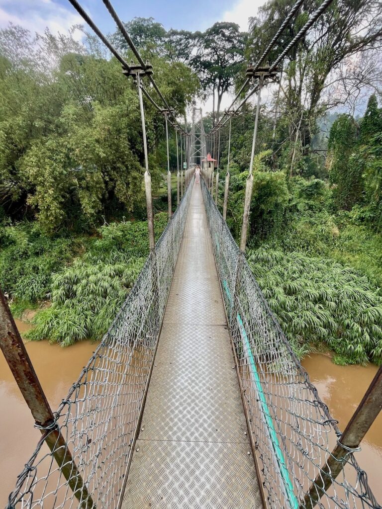 suspension-bridge-in-royal-botanic-gardens-kandy