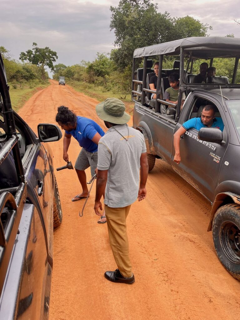 guys-trying-to-fix-broken-jeep-in-yala-national-park