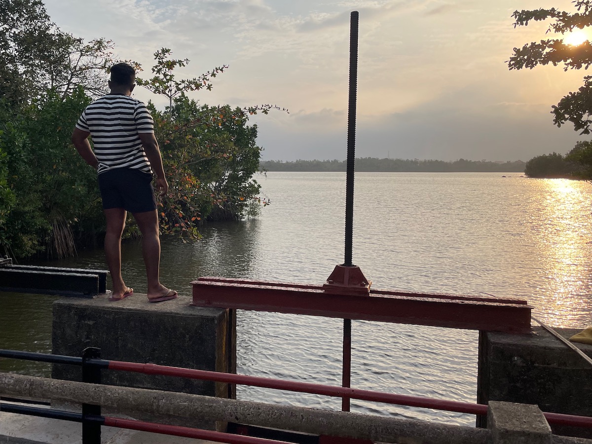man standing on a bridge looking at koggala lake in the late afternoon