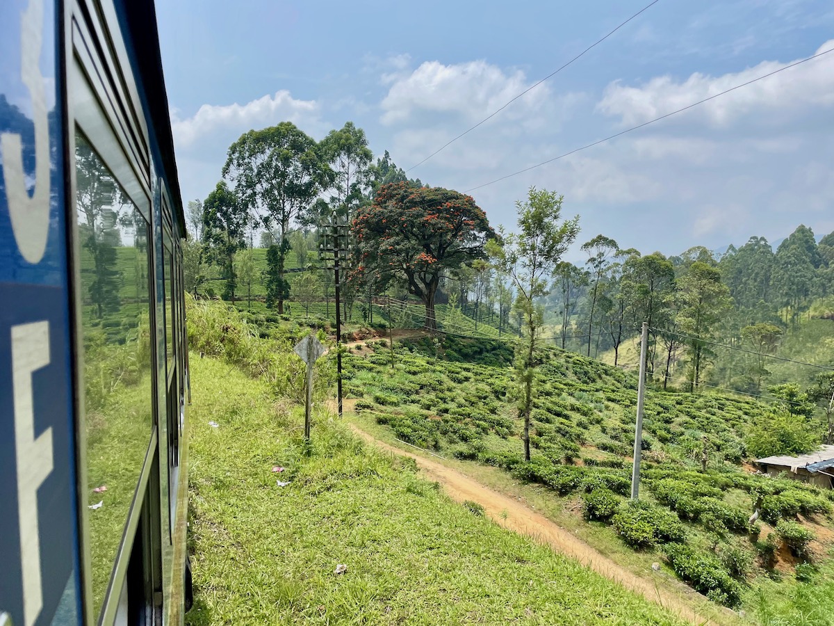 view-from-the-open-door-of-the-train-to-kandy-in-sri-lanka