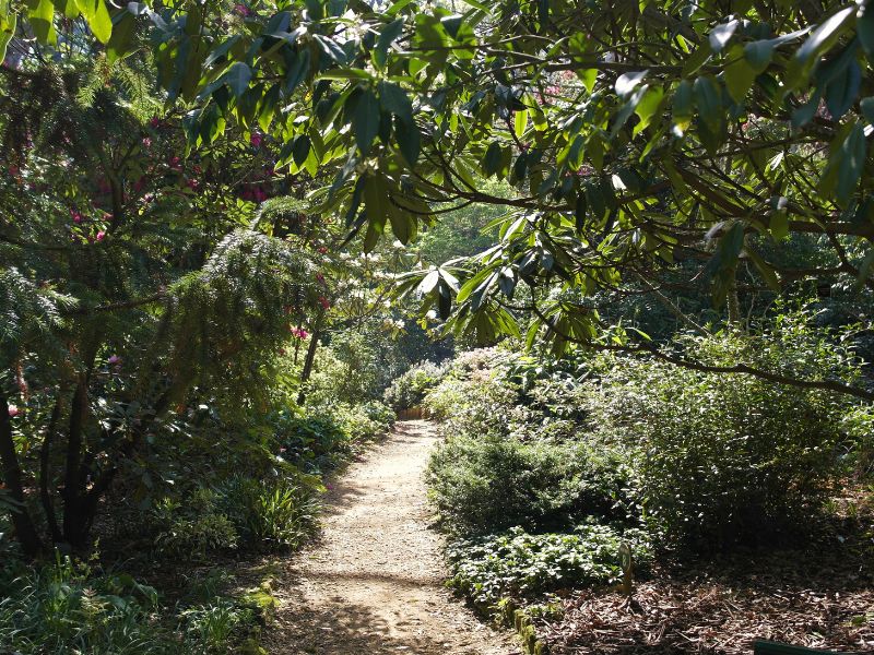 Abbotsbury-Subtropical-Gardens-footpath-dorset