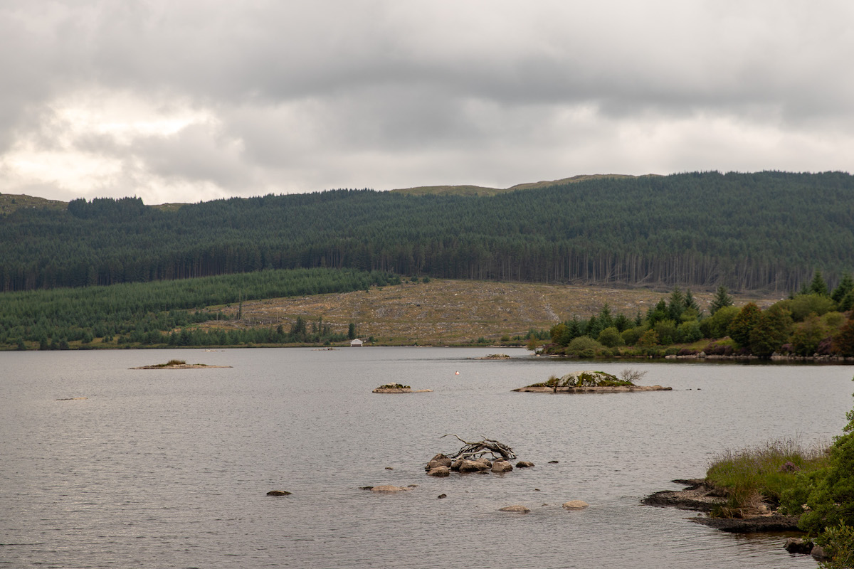 Loch Riecawr in Dumfries and Galloway with forested hills beyond