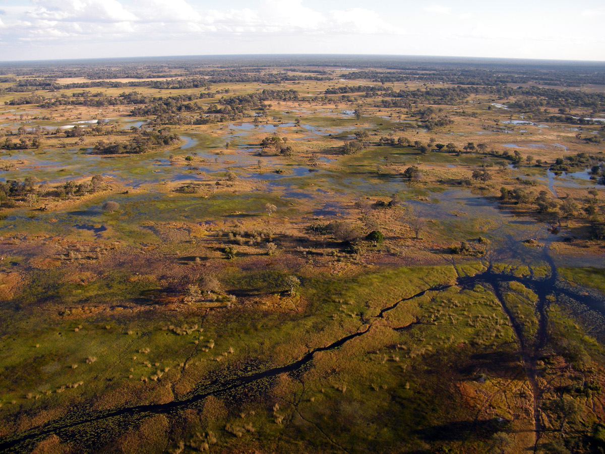 Okavango-delta-from-the-air