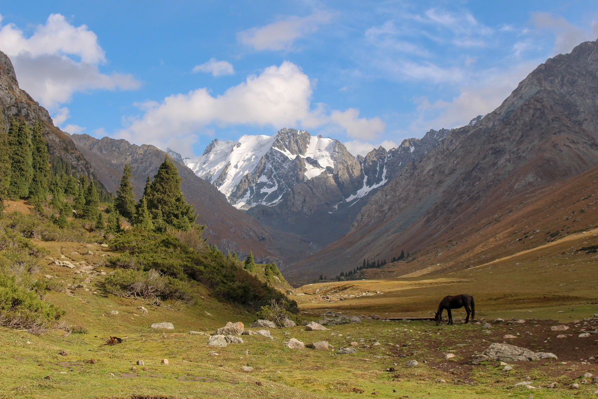 tien-shan-mountains-with-a-horse-in-the-foreground