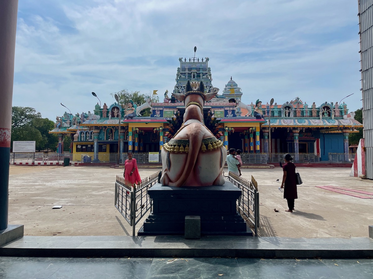 statue-of-cow-at-Nagapooshani-Amman-Temple