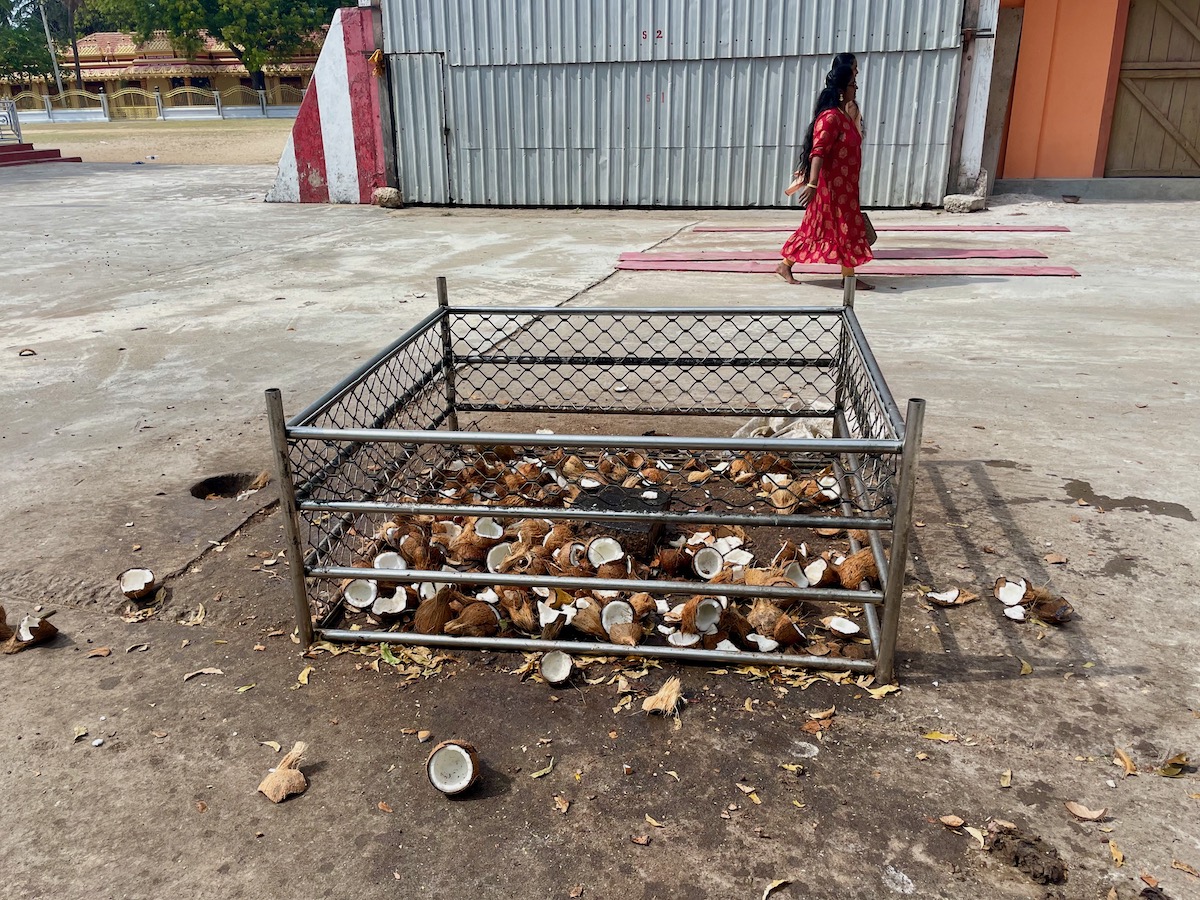 smashed-coconuts-outside-Nagapooshani-Amman-hindu-temple