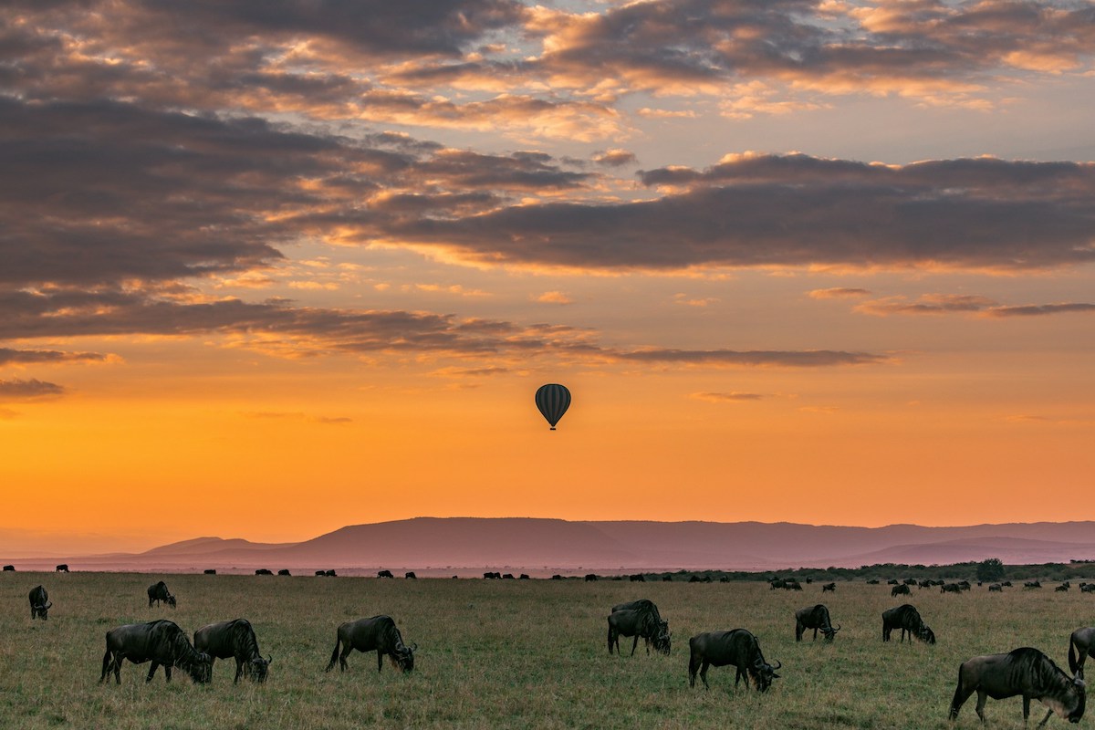vast and majestic landscape in kenya with the small silhouette of a hot air balloon above and animals grazing below
