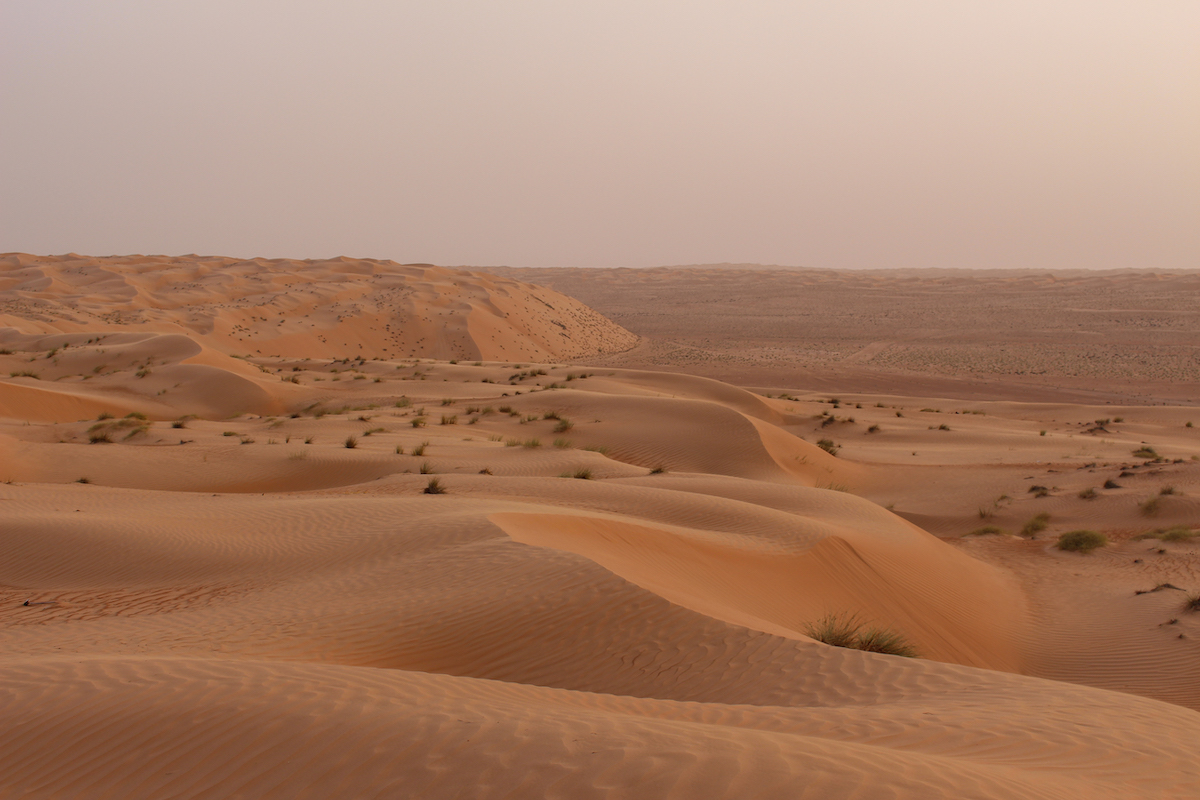 sand dunes and empty desert at dusk in the wahiba sands empty quarter in oman