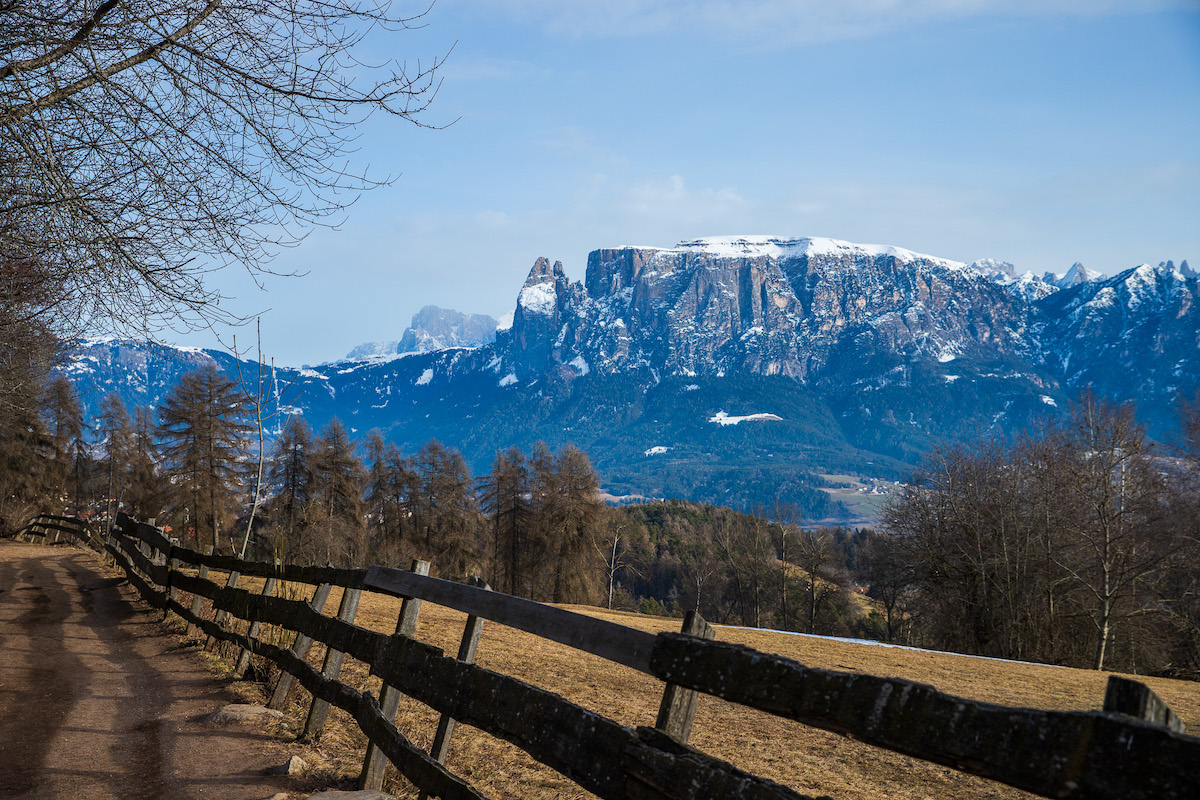view-of-the-dolomites-mountains-from-a-hiking-trail-near-bolzano-italy