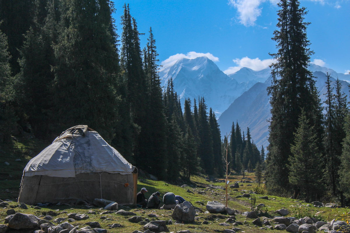 kyrgyz yurt in a forested valley in kyrgyzstan with snowy mountains beyond