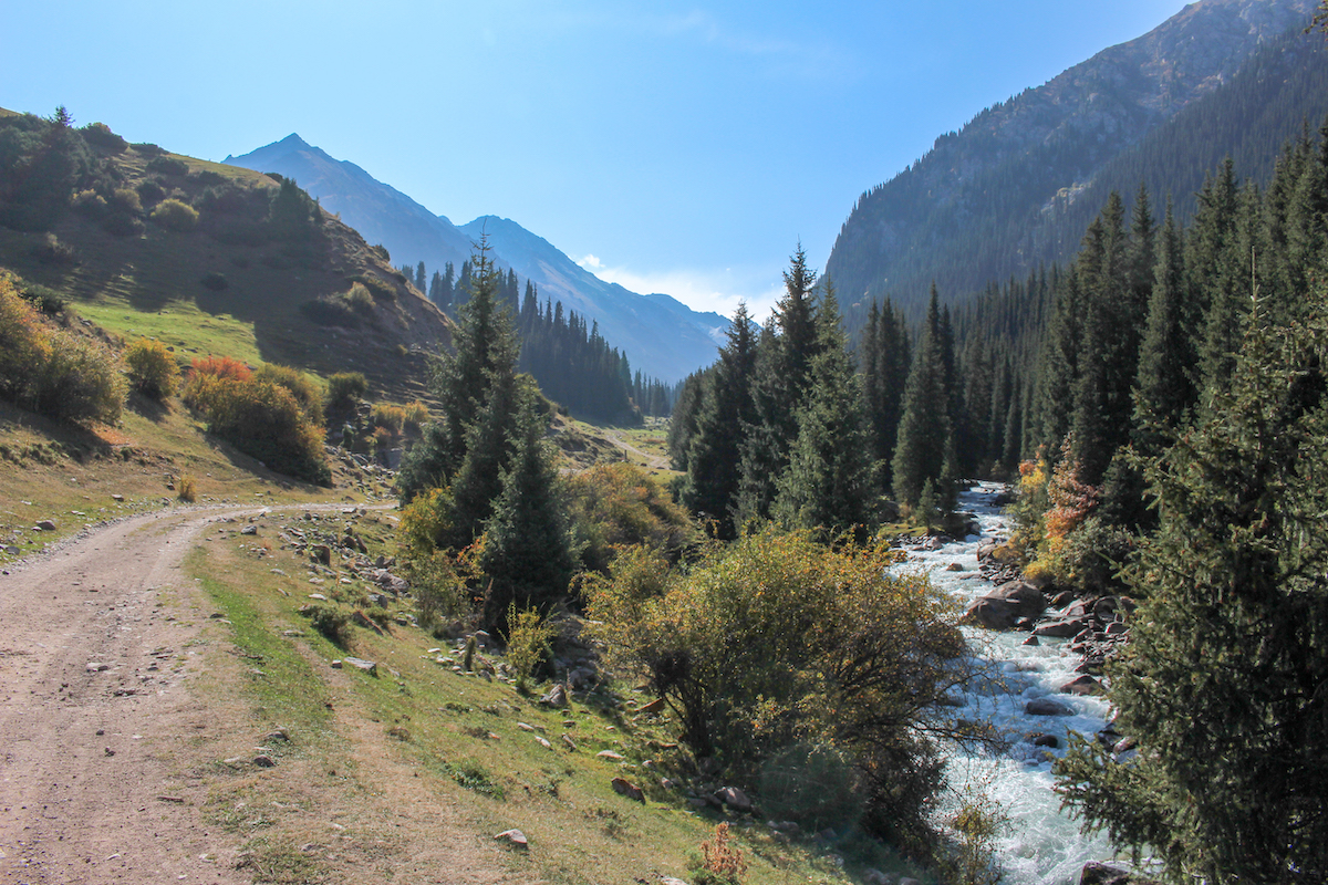 hiking trail running next to a river in eastern kyrgyzstan with mountains and pine trees