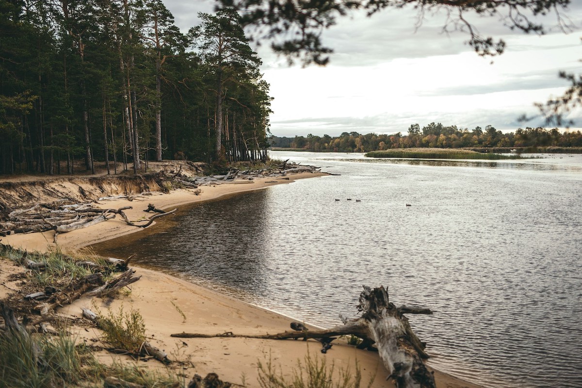 shores-of-river-gauja-national-park-in-latvia