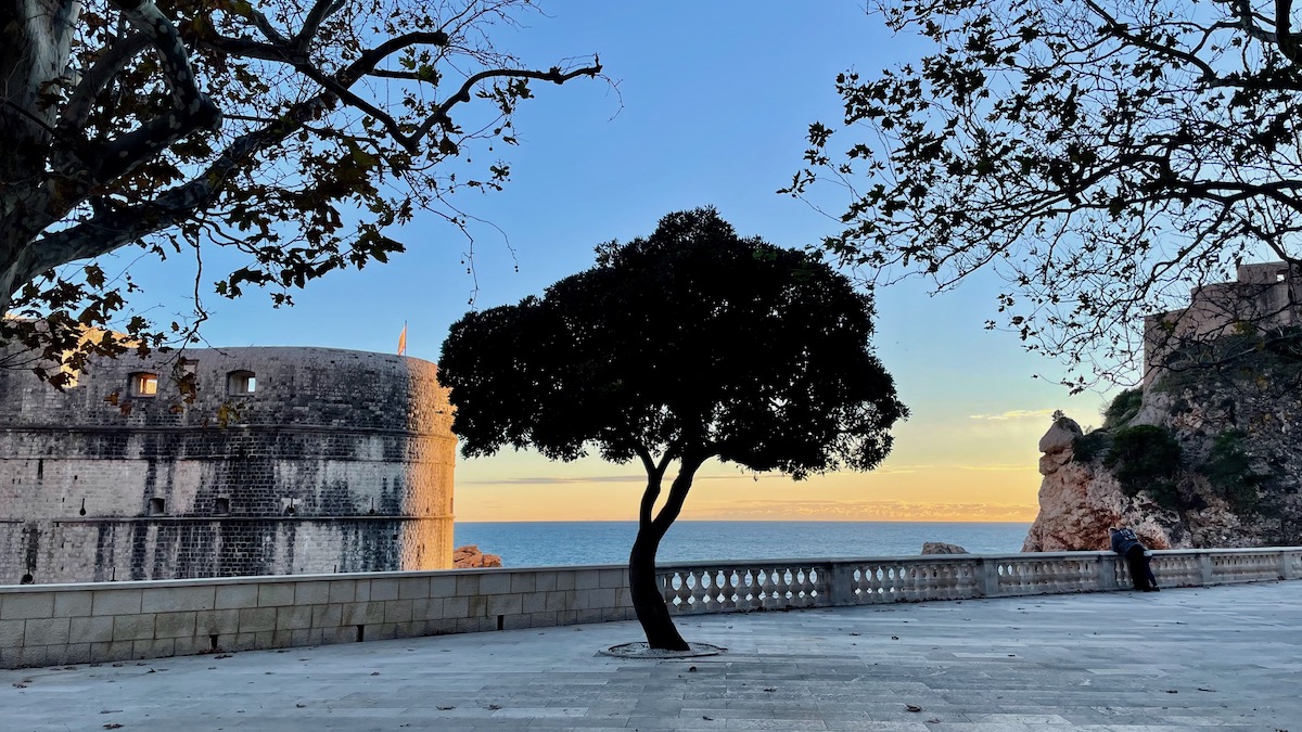 silhouette of a tree against the sunset overlooking the tree from the edge of dubrovnik city walls