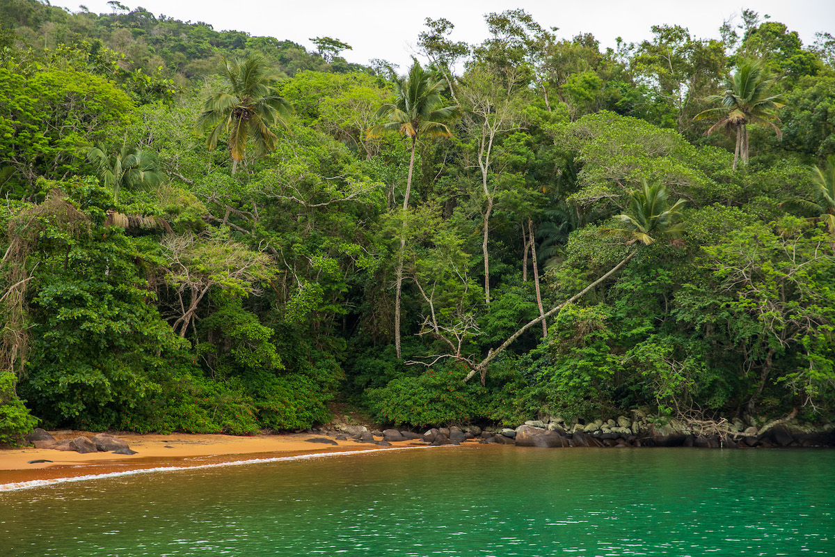 natural unspoilt beach in ilha grande with thick green jungle orange sand and turquoise waters